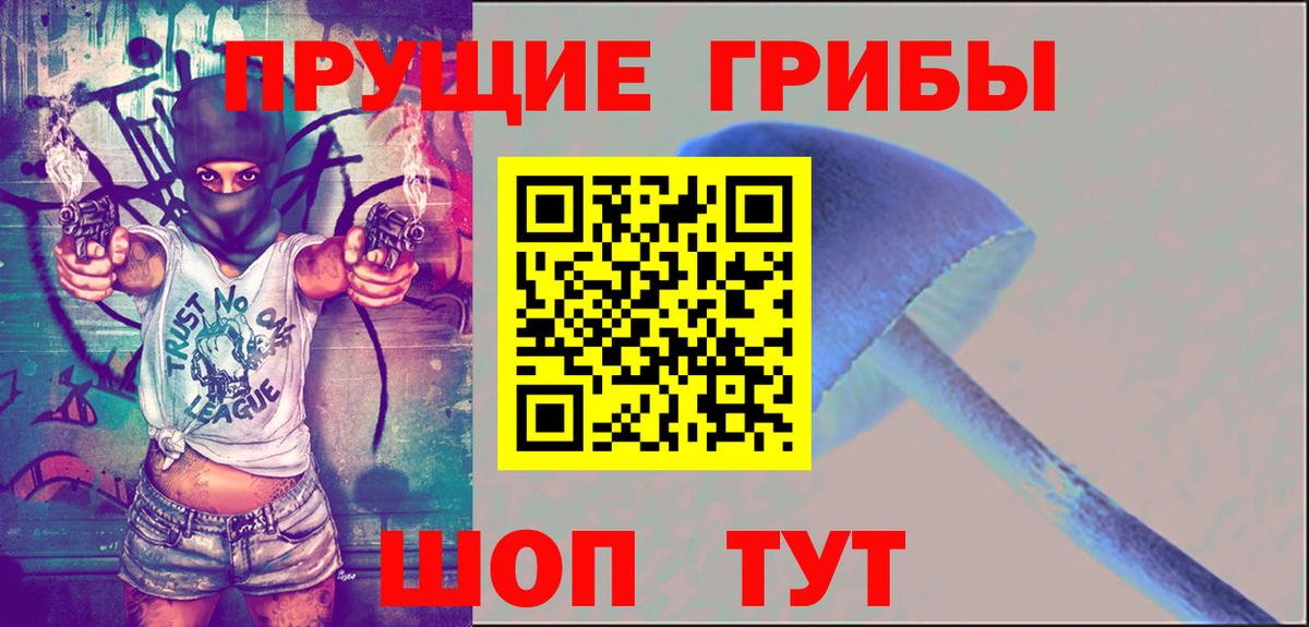 Галлюциногенные грибы Psilocybe Белогорск